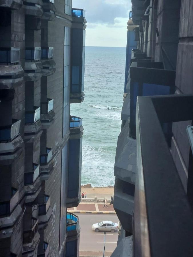 Your Home Apartment Alexandria Exterior photo